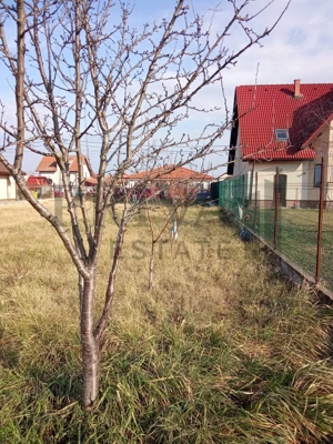 Teren intravilan, 738 mp, fs 16.5 ml, Sag - imagine 8