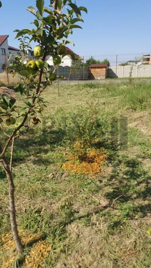 Teren intravilan, 738 mp, fs 16.5 ml, Sag - imagine 5