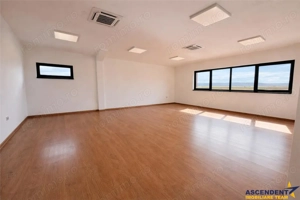 Hala productie premium+pachet afacere, domeniu de 4.700 mp teren,Solovastru, Mures - imagine 6