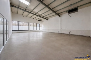 Hala productie premium+pachet afacere, domeniu de 4.700 mp teren,Solovastru, Mures - imagine 5