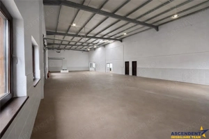 Hala productie premium+pachet afacere, domeniu de 4.700 mp teren,Solovastru, Mures - imagine 8