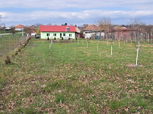 Casă nouă și teren  de 2730 mp, la 22 km față de Oradea  - imagine 6