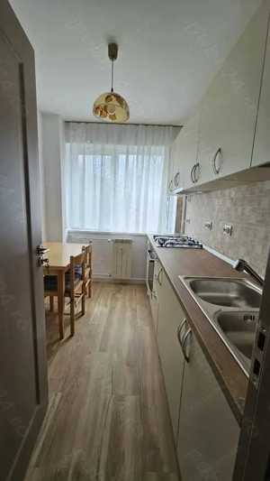 Apartament 2 camere modern, renovat complet,  Câmpia Libertății- Parc IOR - imagine 4
