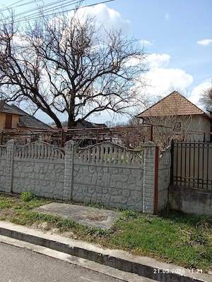 Teren agricol de vanzare, curte si gradina. Localitatea: oraș  Rovinari, cartier Vârţ, judet Gorj - imagine 2