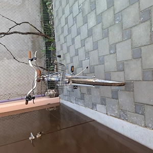 Vând bicicletă de damă Adriatica - imagine 4