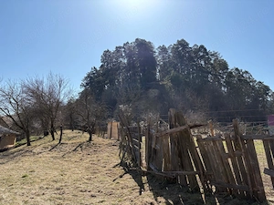 A 1683 De vânzare casă săsească în Mureș- Balauseri - imagine 5