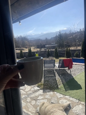 Afacere la cheie! Cabana turistica, Porumbacu de sus, Sibiu  - imagine 7