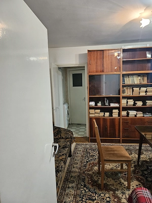 Soseaua Giurgiului, stradal, Piata Progresul - imagine 5