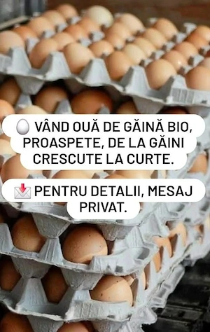 vând ouă de găină de țară 