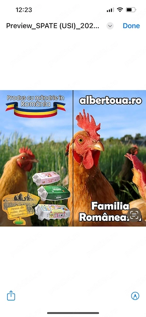 Angajăm medic veterinar CMV de liberă practică - imagine 3