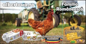 Angajăm medic veterinar CMV de liberă practică - imagine 2