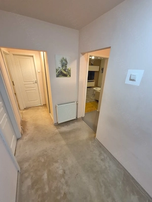 3 Cam-Sagului-5 Min Centru-74 MP--Mobilat-Centrala--112.000 Euro Neg ! - imagine 18