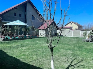 Casa de vanzare in Sag   zona linistita, aproape de Timisoara - imagine 4