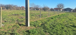 Teren de vânzare în Județul Constanța  - imagine 4