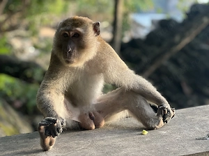 Casa de inchiriat proaspat renovata - imagine 5