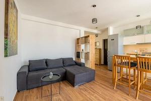 Aparatament 2 camere Dumbravita- LIDL + loc de parcare  - imagine 2