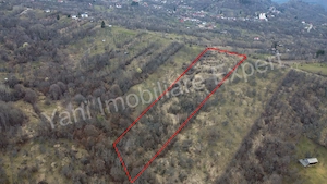 Teren de vânzare în comuna Nucșoara, județ Argeș. - imagine 4