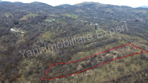 Teren de vânzare în comuna Nucșoara, județ Argeș. - imagine 8