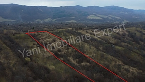 Teren de vânzare în comuna Nucșoara, județ Argeș. - imagine 11