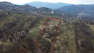 Teren de vânzare în comuna Nucșoara, județ Argeș. - imagine 2