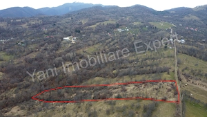 Teren de vânzare în comuna Nucșoara, județ Argeș. - imagine 7