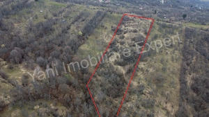 Teren de vânzare în comuna Nucșoara, județ Argeș. - imagine 9