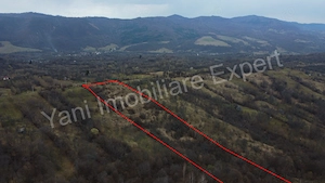 Teren de vânzare în comuna Nucșoara, județ Argeș. - imagine 3