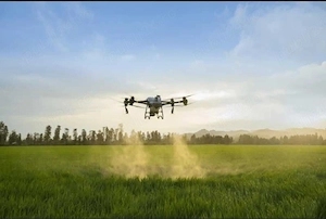 Tratamente Fitosanitare cu Drona Agricola