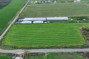 Teren intravilan 7.811 mp | Ciolpani, Ilfov | Acces drum public - imagine 3