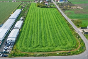 Teren intravilan 7.811 mp | Ciolpani, Ilfov | Acces drum public - imagine 2