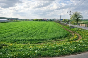 Teren intravilan 7.811 mp | Ciolpani, Ilfov | Acces drum public - imagine 6