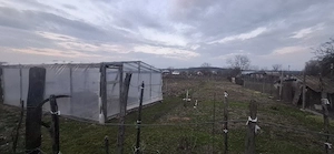 casa de vanzare pretul 40000 negociabil  - imagine 7