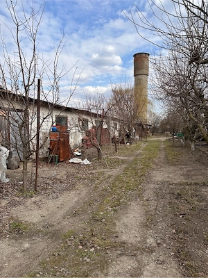 hala industriala Dorohoi Sendriceni - imagine 6
