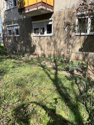 Apartament cu 2 camere 