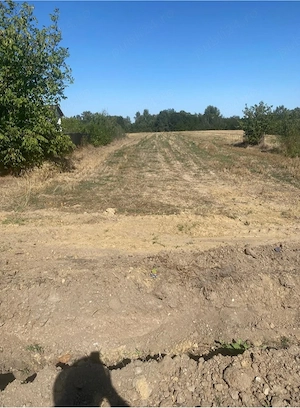 teren intravilan  - imagine 4