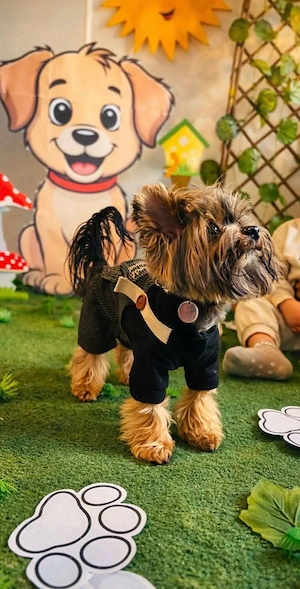 Rio își caută o domnișoară pe măsură  - imagine 5