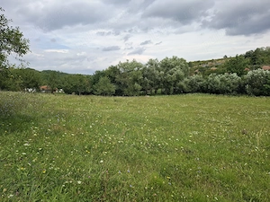 Teren intravilan pentru constructii Fetindia jud Sălaj  - imagine 6