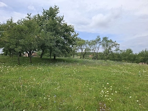 Teren intravilan pentru constructii Fetindia jud Sălaj  - imagine 5