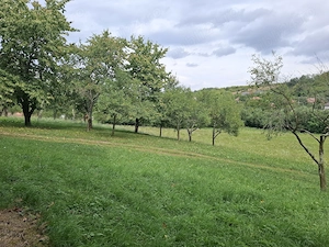 Teren intravilan pentru constructii Fetindia jud Sălaj  - imagine 4