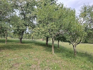 Teren intravilan pentru constructii Fetindia jud Sălaj  - imagine 3