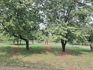 Teren intravilan pentru constructii Fetindia jud Sălaj 