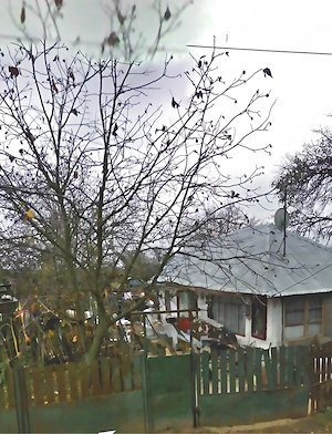 Urgent!!! Vand casa batraneasca vizavi de padure 