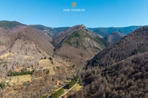 Terenuri la marginea pădurii – Poiana Mărului, zonă superbă | Com 0% - imagine 20