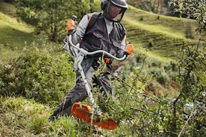 cosit iarbă cu motocoasă 