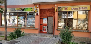 Vand spatiu comercial -89mp-stradal - imagine 4