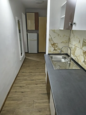 Apartament cu o camera de închiriat  - imagine 3