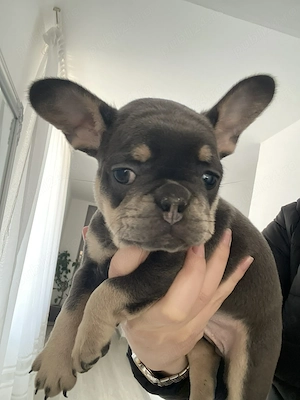   cadoul perfect de Paște pentru persoana iubită      . - imagine 4