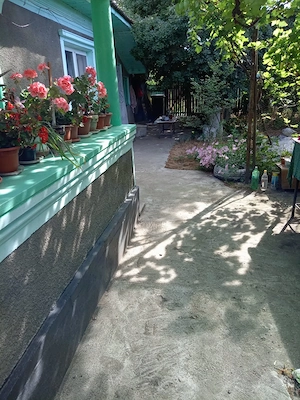 Vând casa + teren în Rosiori de Vede - imagine 5
