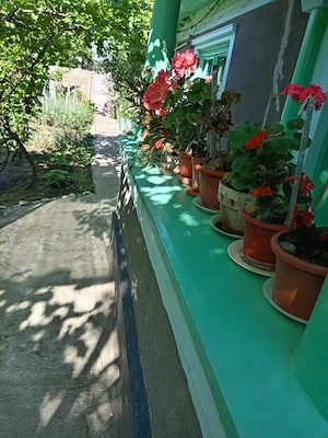 Vând casa + teren în Rosiori de Vede - imagine 4