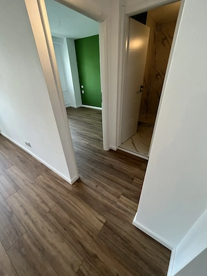 Amenajări interioare  exterioare  - imagine 2